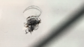 溶接痕ビフォー