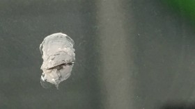 施工中 ドリル整形拡大画像